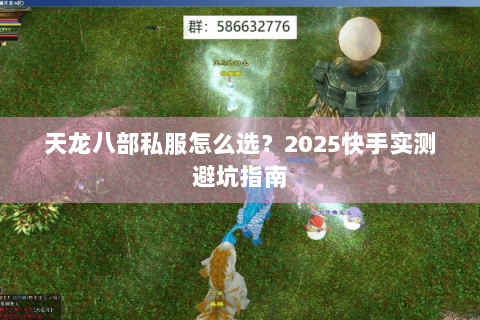 天龙八部私服怎么选？2025快手实测避坑指南