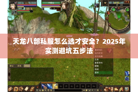 天龙八部私服怎么选才安全？2025年实测避坑五步法