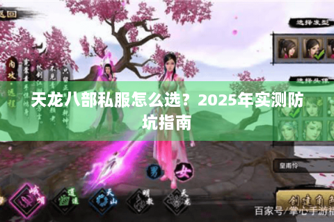 天龙八部私服怎么选？2025年实测防坑指南
