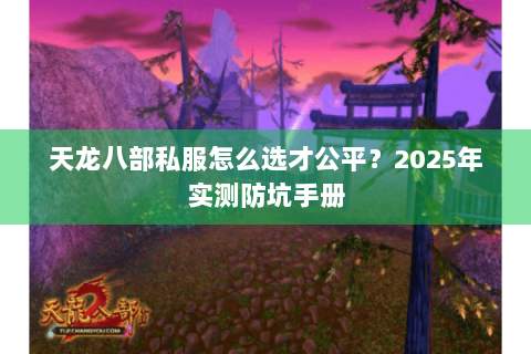 天龙八部私服怎么选才公平？2025年实测防坑手册