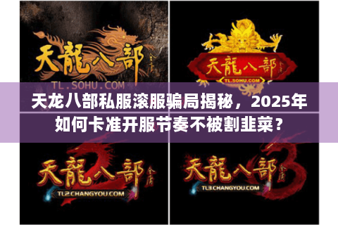 天龙八部私服滚服骗局揭秘，2025年如何卡准开服节奏不被割韭菜？