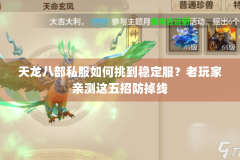 天龙八部私服如何挑到稳定服？老玩家亲测这五招防掉线