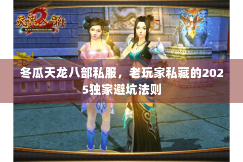 冬瓜天龙八部私服，老玩家私藏的2025独家避坑法则