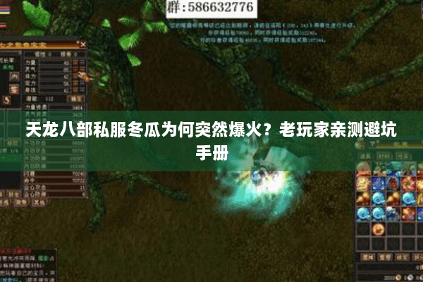 天龙八部私服冬瓜为何突然爆火？老玩家亲测避坑手册