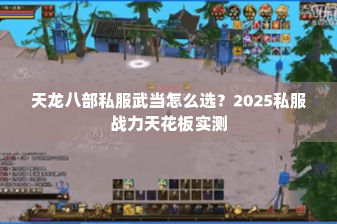 天龙八部私服武当怎么选？2025私服战力天花板实测