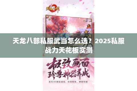 天龙八部私服武当怎么选？2025私服战力天花板实测