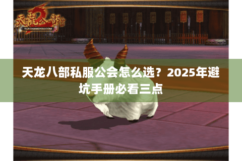 天龙八部私服公会怎么选？2025年避坑手册必看三点
