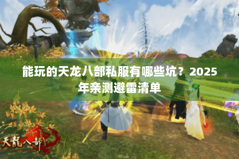 能玩的天龙八部私服有哪些坑？2025年亲测避雷清单