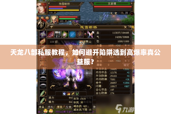 天龙八部私服教程，如何避开陷阱选到高爆率真公益服？