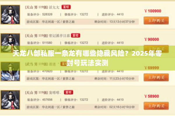 天龙八部私服一条龙有哪些隐藏风险？2025年零封号玩法实测