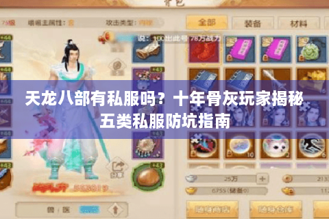 天龙八部有私服吗？十年骨灰玩家揭秘五类私服防坑指南