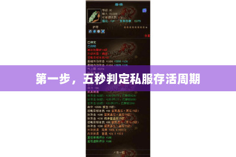 第一步，五秒判定私服存活周期