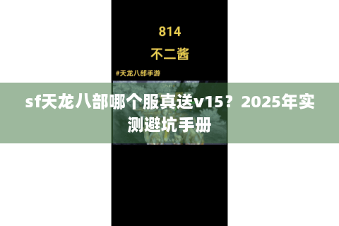 sf天龙八部哪个服真送v15？2025年实测避坑手册