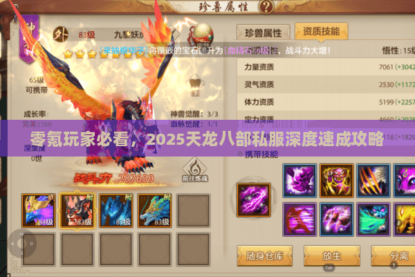 零氪玩家必看，2025天龙八部私服深度速成攻略