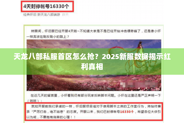 天龙八部私服首区怎么抢？2025新服数据揭示红利真相