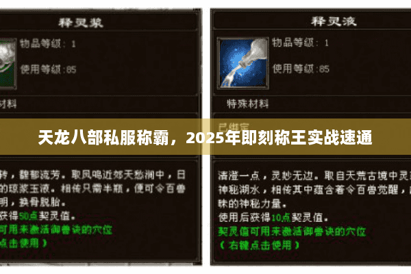 天龙八部私服称霸，2025年即刻称王实战速通