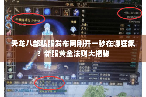 天龙八部私服发布网刚开一秒在哪狂飙？新服黄金法则大揭秘