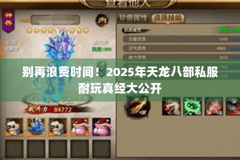 别再浪费时间！2025年天龙八部私服耐玩真经大公开
