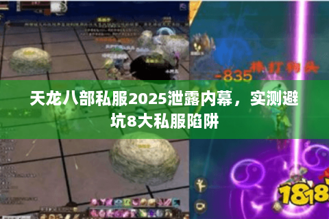 天龙八部私服2025泄露内幕，实测避坑8大私服陷阱