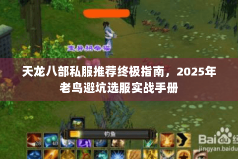 天龙八部私服推荐终极指南，2025年老鸟避坑选服实战手册