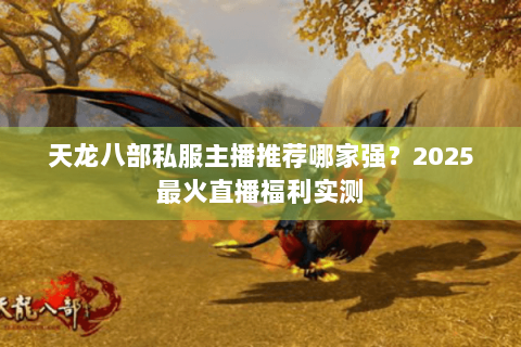 天龙八部私服主播推荐哪家强？2025最火直播福利实测