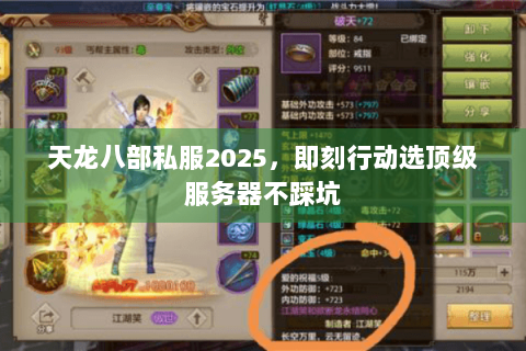 天龙八部私服2025，即刻行动选顶级服务器不踩坑