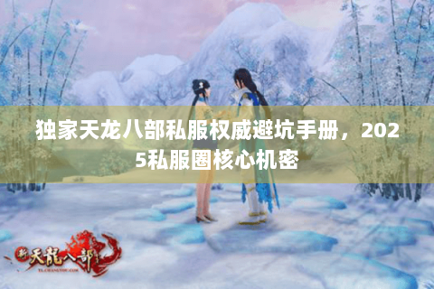 独家天龙八部私服权威避坑手册，2025私服圈核心机密