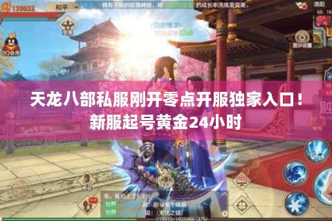 天龙八部私服刚开零点开服独家入口！新服起号黄金24小时