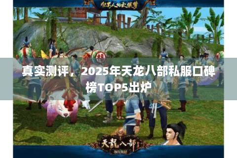 真实测评，2025年天龙八部私服口碑榜TOP5出炉