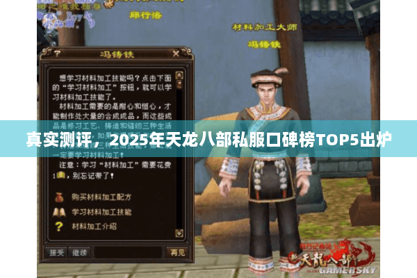 真实测评，2025年天龙八部私服口碑榜TOP5出炉