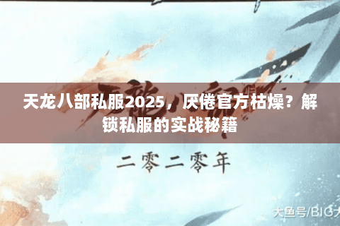 天龙八部私服2025，厌倦官方枯燥？解锁私服的实战秘籍