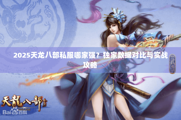 2025天龙八部私服哪家强？独家数据对比与实战攻略