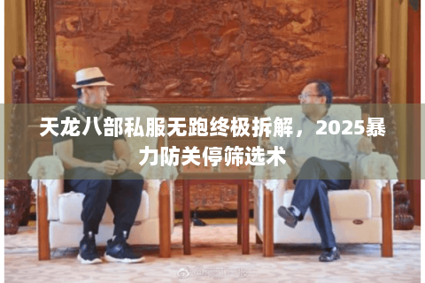 天龙八部私服无跑终极拆解，2025暴力防关停筛选术