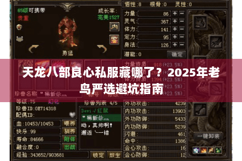 天龙八部良心私服藏哪了？2025年老鸟严选避坑指南