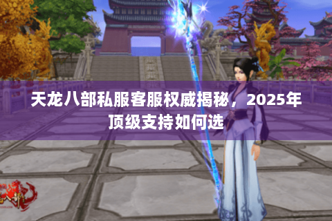 天龙八部私服客服权威揭秘，2025年顶级支持如何选