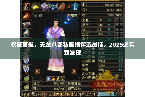 权威首推，天龙八部私服横评选最佳，2025必看新发现