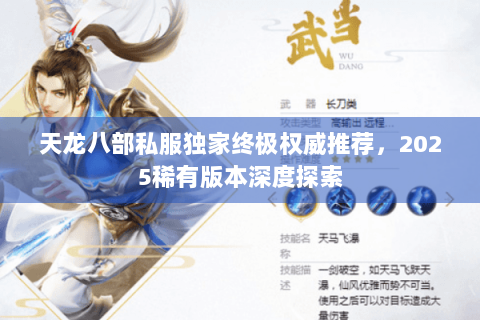 天龙八部私服独家终极权威推荐，2025稀有版本深度探索