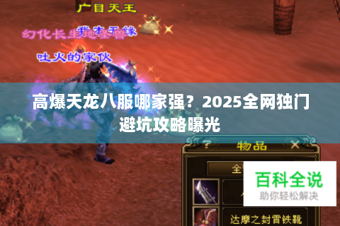 高爆天龙八服哪家强？2025全网独门避坑攻略曝光