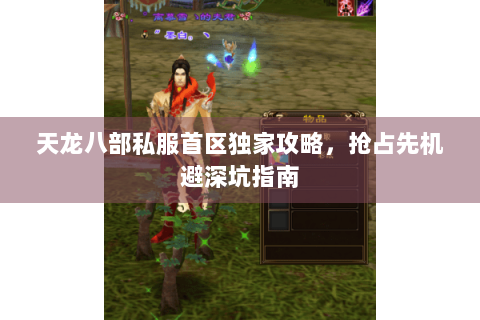 天龙八部私服首区独家攻略，抢占先机避深坑指南