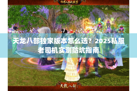 天龙八部独家版本怎么选？2025私服老司机实测防坑指南