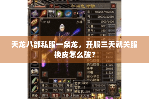 天龙八部私服一条龙，开服三天就关服换皮怎么破？