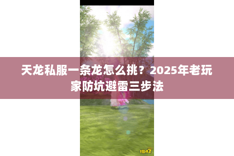 天龙私服一条龙怎么挑？2025年老玩家防坑避雷三步法