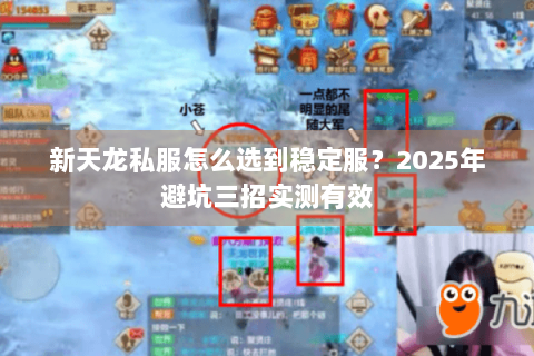 新天龙私服怎么选到稳定服？2025年避坑三招实测有效