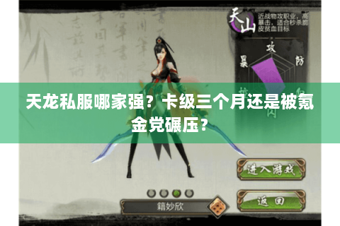 天龙私服哪家强？卡级三个月还是被氪金党碾压？