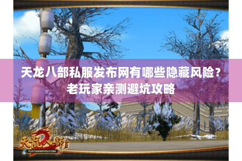 天龙八部私服发布网有哪些隐藏风险？老玩家亲测避坑攻略