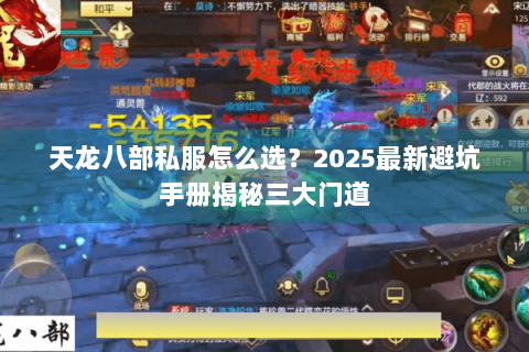 天龙八部私服怎么选？2025最新避坑手册揭秘三大门道