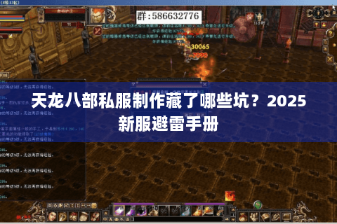 天龙八部私服制作藏了哪些坑？2025新服避雷手册