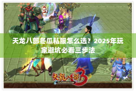 天龙八部冬瓜私服怎么选？2025年玩家避坑必看三步法