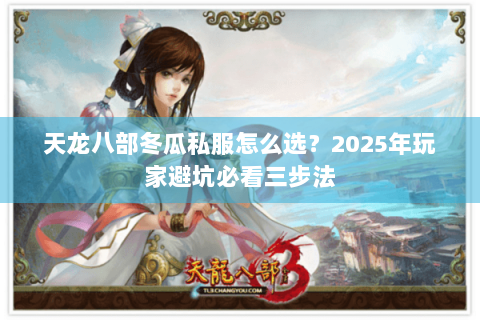 天龙八部冬瓜私服怎么选？2025年玩家避坑必看三步法