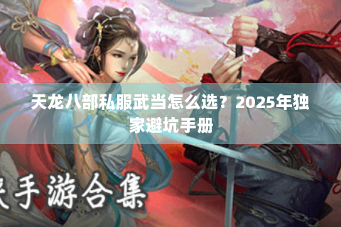 天龙八部私服武当怎么选？2025年独家避坑手册